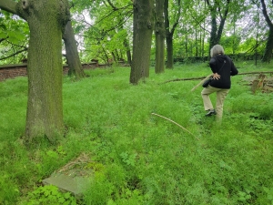 New Jewish Cemetery, Głubczyce
