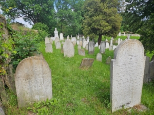 Hotzenplotz Jewish cemetery, last look
