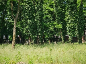 New Jewish cemetery, Mysłowice
