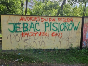 Now we know how to curse in Polish