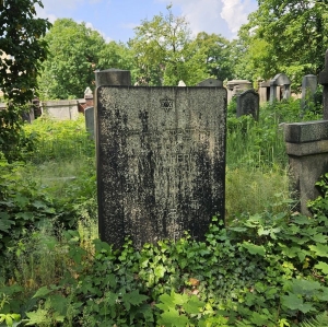 Anna Perl, Gliwice new Jewish cemetery