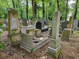 Sara Steinberg geb Weissler, site context