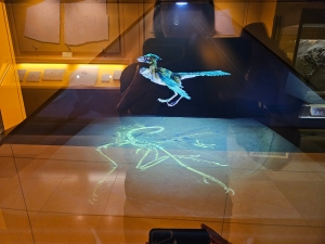 Archaeopteryx in 3D