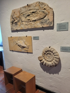 Jura Museum, Willibaldsburg, Eichstätt