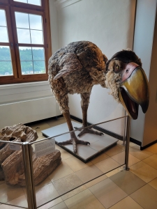 Jura Museum, Willibaldsburg, Eichstätt