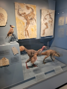 Jura Museum, Willibaldsburg, Eichstätt