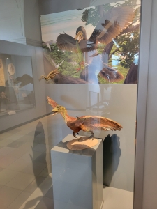 Jura Museum, Willibaldsburg, Eichstätt