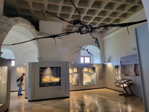 Jura Museum, Willibaldsburg, Eichstätt