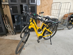 Our e-bikes - built like tanks!