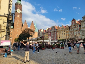 Rynek, Wrocław