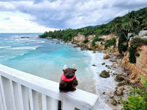 Beach at Hotel El Quemaito