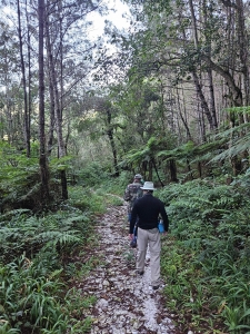 On the trail