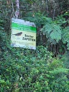 Sierra de Bahoruca National Park, DR