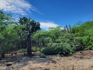 Near Duverge, DR