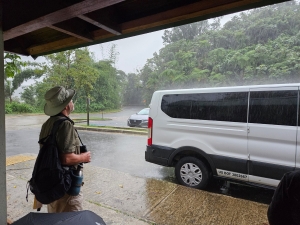 Rain, rain, and more rain