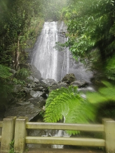 Waterfall, El Yunque National Forest, PR