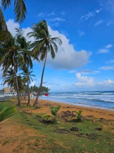 More beach views