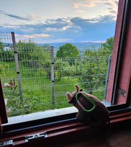 From my hotel room in Krnov, Czechia