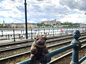 Along the Danube looking over to Buda