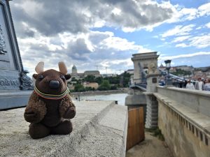 At the Chain Bridge, Budapest