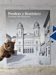 Welcome to Bratislava!