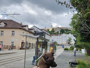 Bratislava, looking up to the castle