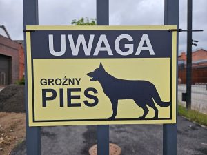 This time watch for dogs