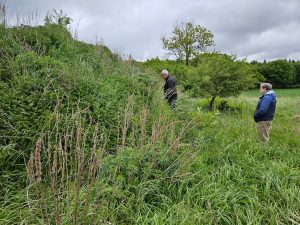 The site of the Munzerei, an inn on the road from Leobschuetz to Hotzenplotz 
