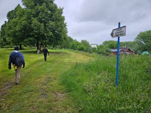 Heading for the Hotzenplotz old Jewish cemetery