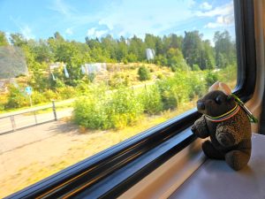 On the train from Helsinki airport, Finland