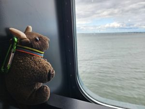 Europe 2026-Buddy