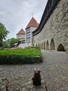 Old city walls, Tallinn
