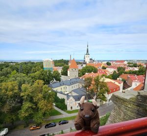 View from the Patkuli Viewpoint, Tallinn