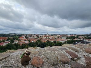 Admiring the view of Vilnius