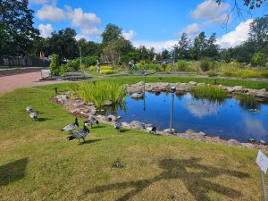 Kaisaniemi Botanic Garden, Helsinki