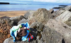 South coast of Iceland