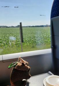 Train ride to Halle (Saale)