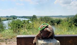 Along the Saale-Radweg