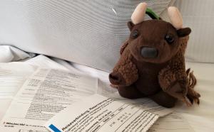 I've got a ticket to ride...