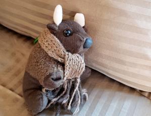 Love to travel, but it's good to be home!