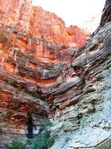 On the North Kaibab trail