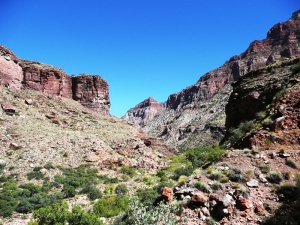 On the North Kaibab trail