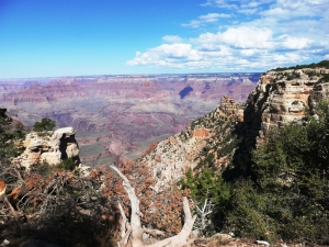 At the South Rim!