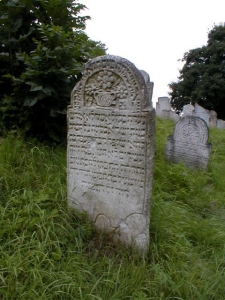 116-064-218-00328