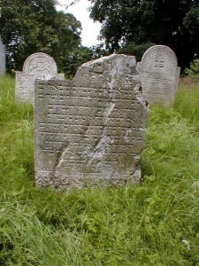 171-j-11-218-00040