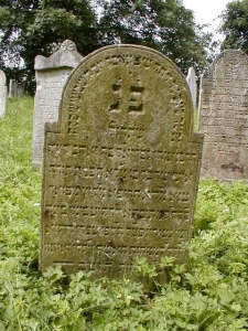 195-l-09-218-00066