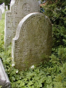 205-m-07-218-00081