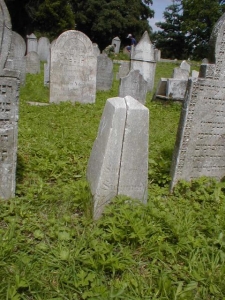 361-w-12-218-00278