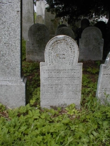368-w-05-218-00271