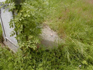 l-14-218-00463 large